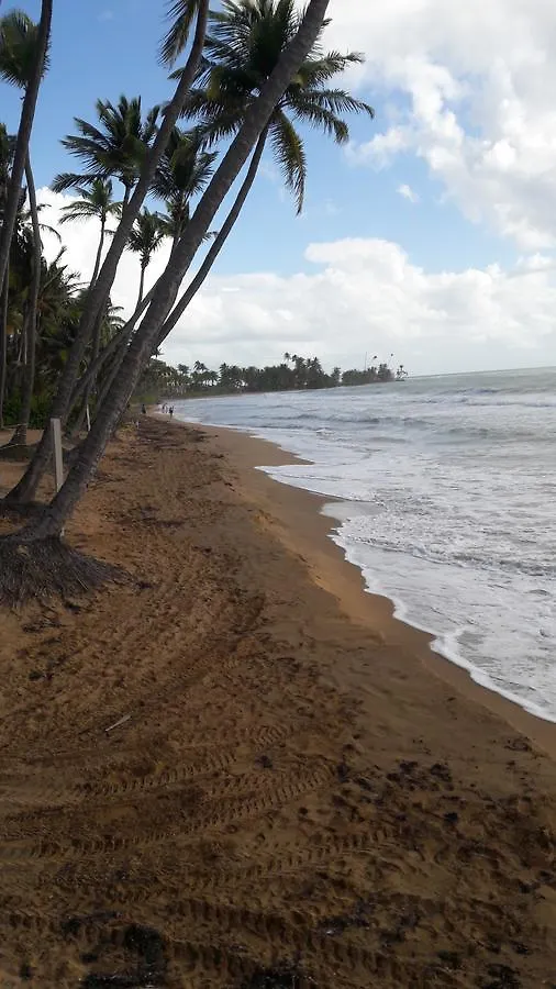 La Casa Que Canta Bed and Breakfast Humacao